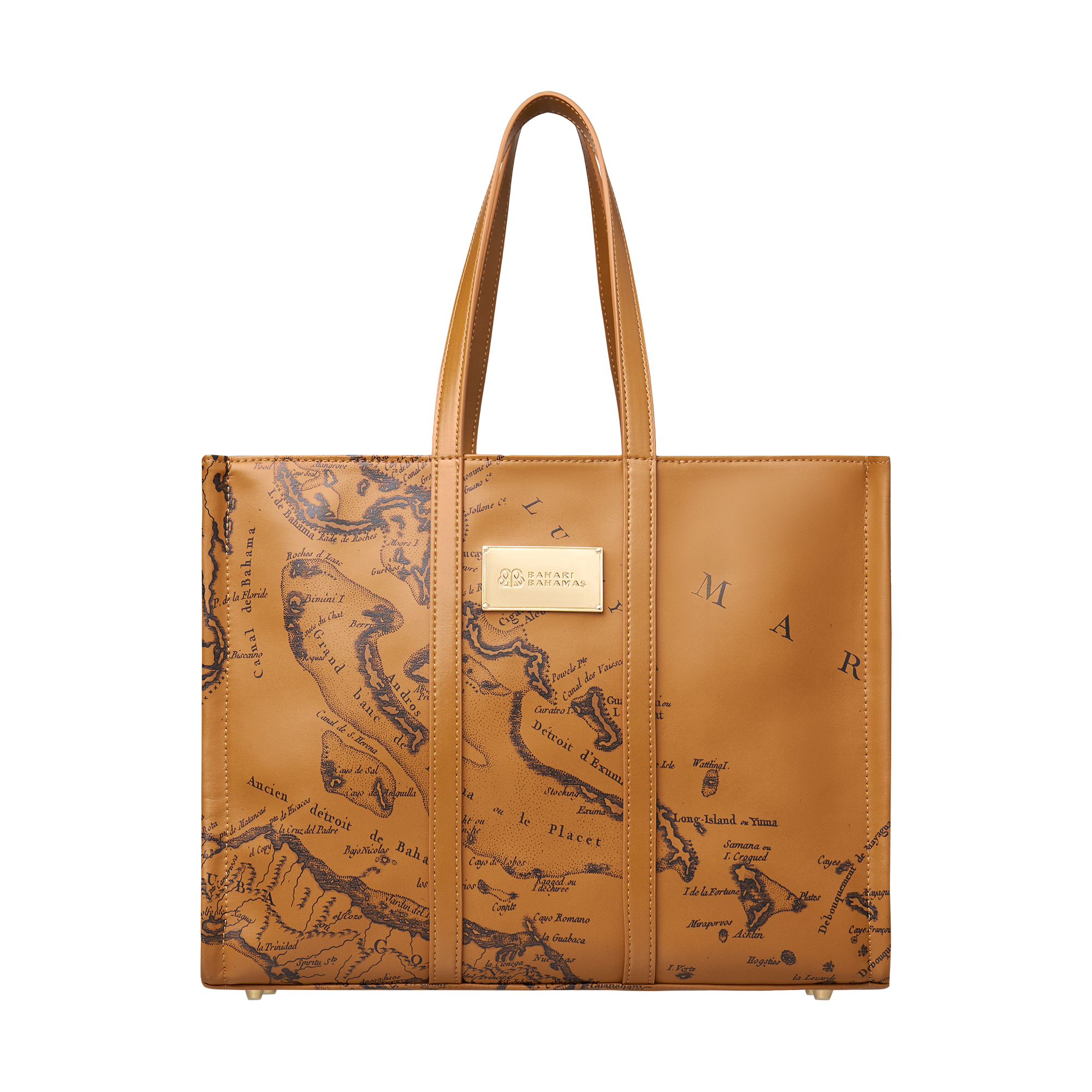 THE CARTE LUCAYOS MINI TOTE