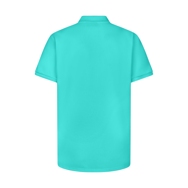 THE STAPLE POLO-AQUA