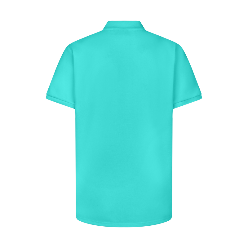 THE STAPLE POLO-AQUA