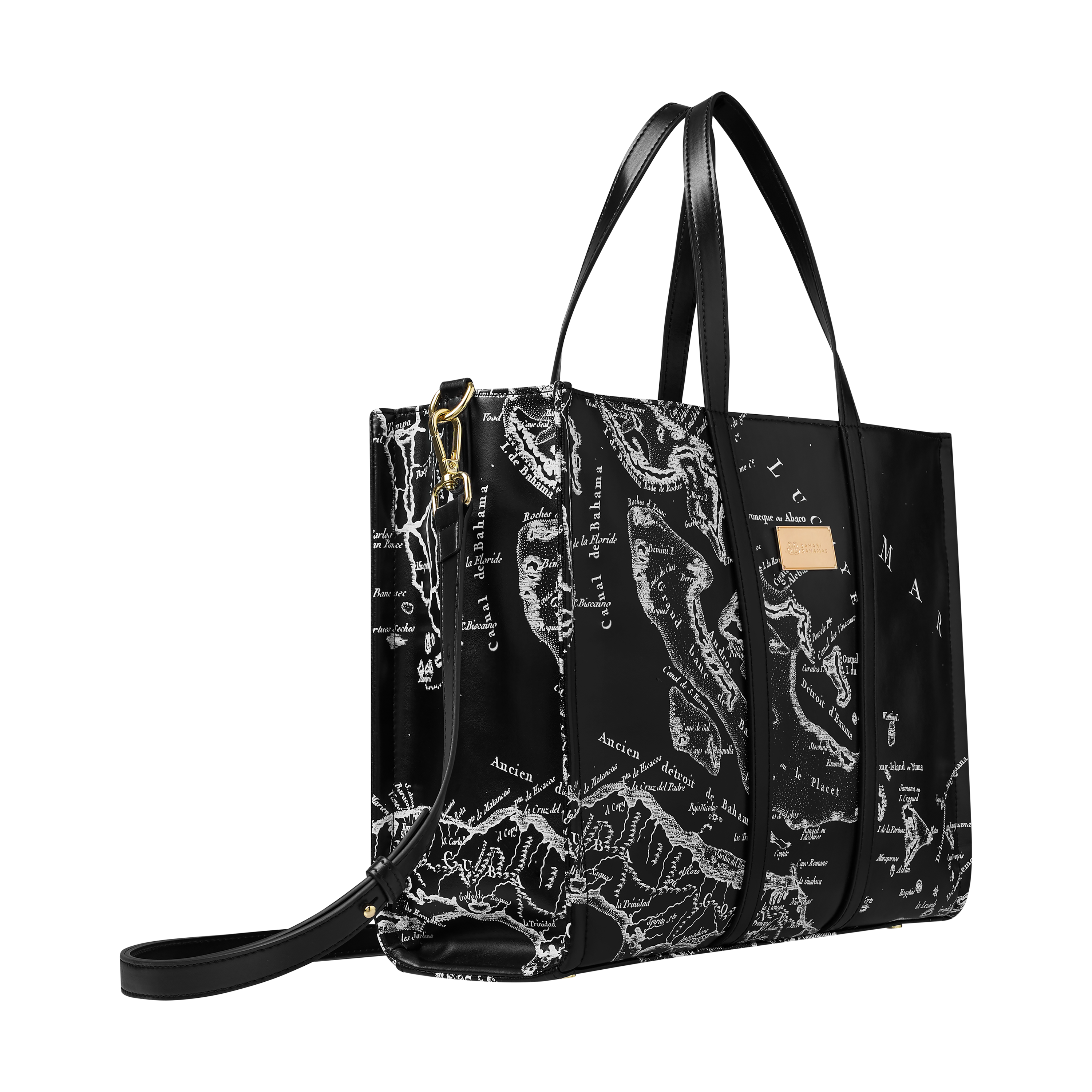 THE CARTE LUCAYOS MINI TOTE-BLACK