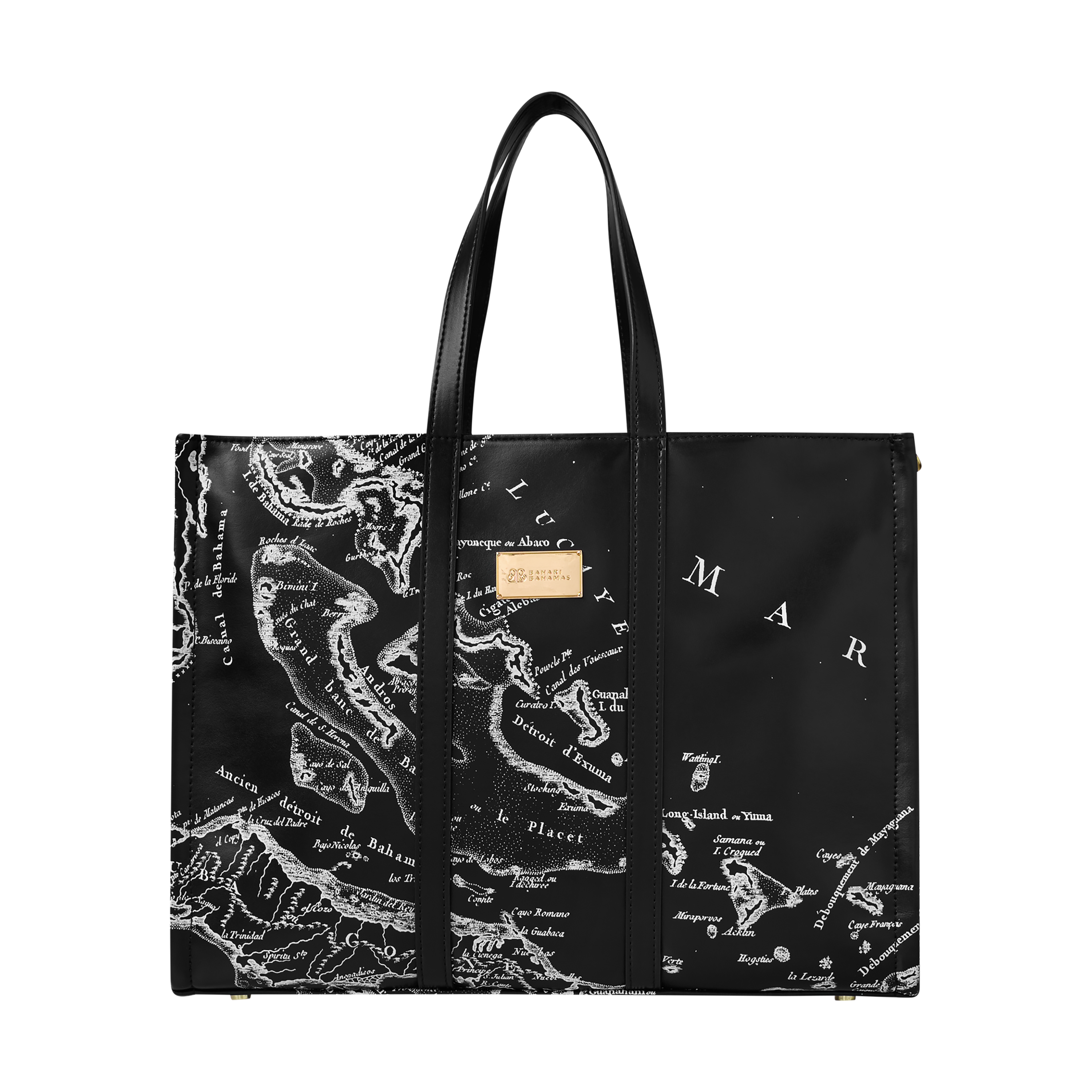 THE CARTE LUCAYOS MINI TOTE-BLACK