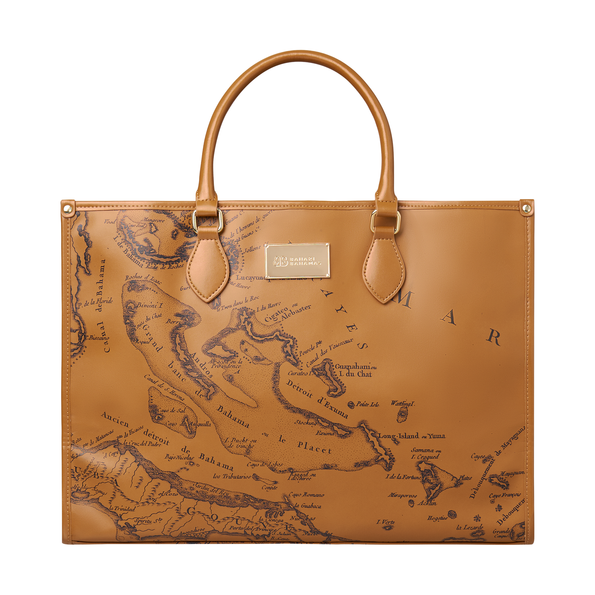 THE CARTE LUCAYOS TOTE