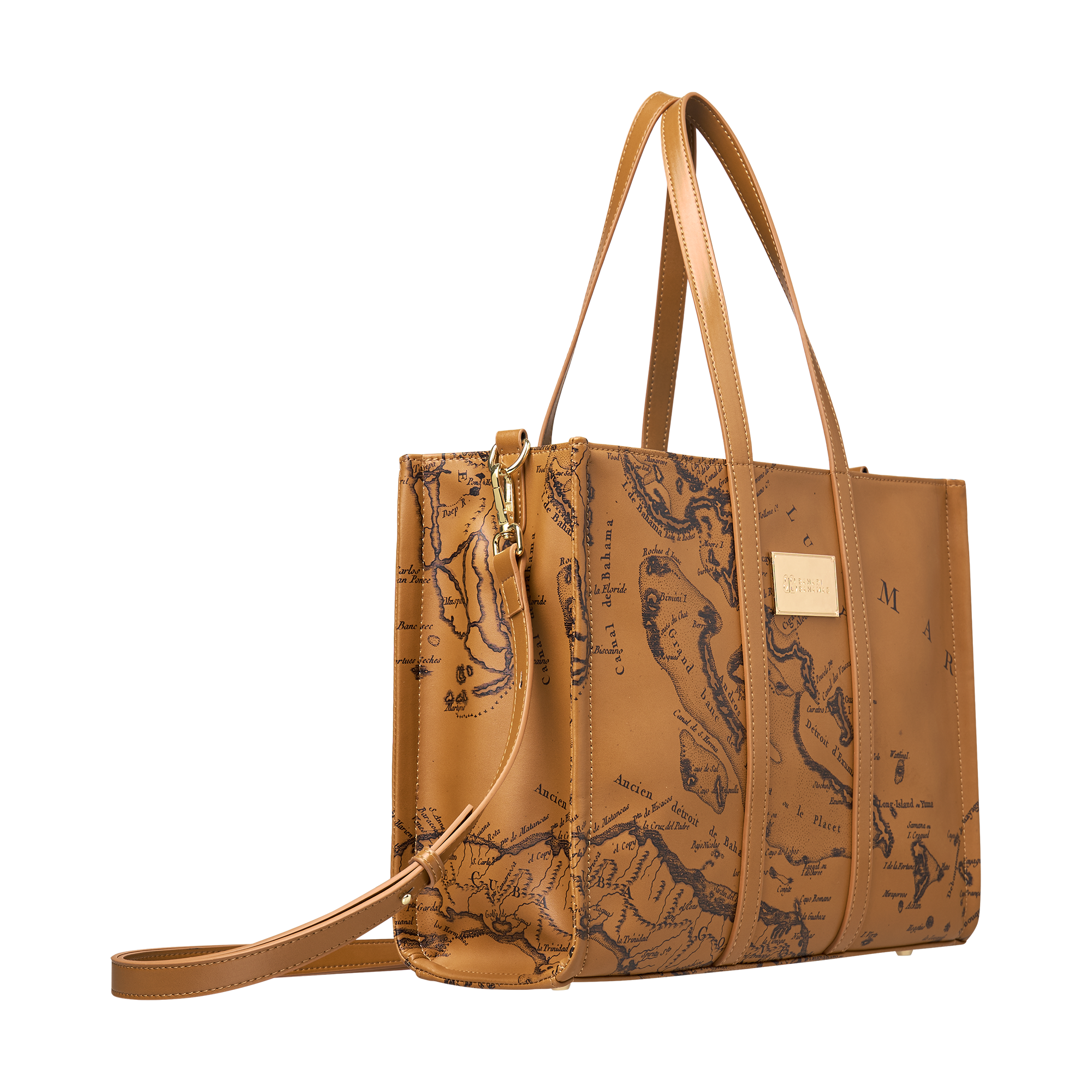THE CARTE LUCAYOS MINI TOTE